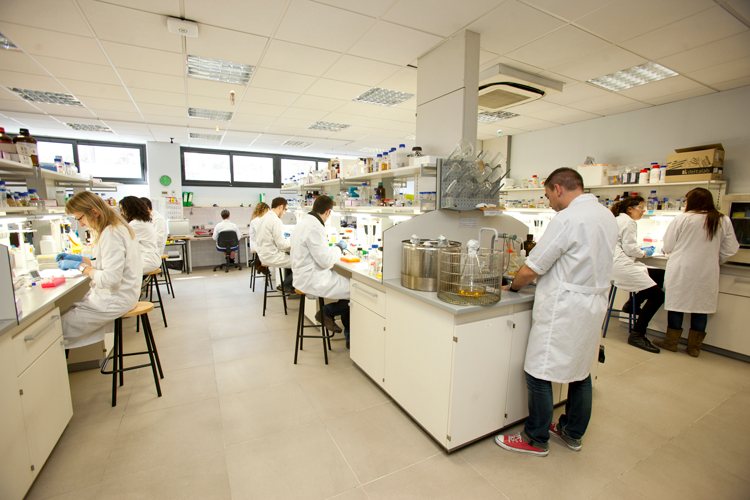 IQS Techt Transfer laboratorio